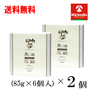  2Zbg t \o[ n nΌ 85g×6 ×2Zbg