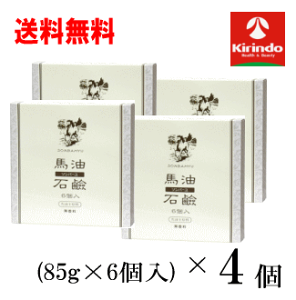  4Zbg t \o[ n nΌ (85g×6) ×4Zbg