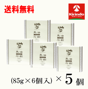 12/4()20SiP{10{vGg[ 70Nnƍ ݌ɂ̂  5Zbg t \o[ n nΌ (85g×6) ×5Zbg ێ  Ō`Ό \[v