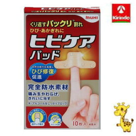 池田模範堂 ヒビケアパッド 10枚