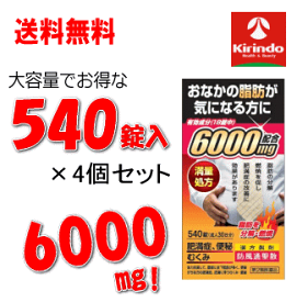 70周年創業祭III 送料無料 4箱セット【第2類医薬品】北日本製薬 防風通聖散エキス6000 540錠 30日分 ×4個セット 120日分 ★セルフメディケーション税制対象商品