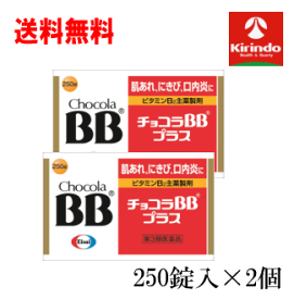 即日出荷 あす楽 送料無料 2個セット【第3類医薬品】チョコラBBプラス 250錠入×2個 肌荒れ にきび 口内炎 ビタミン