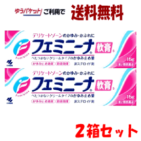 ゆうパケットで送料無料 【2箱セット】【第2類医薬品】小林製薬 フェミニーナ軟膏 15g×2 デリケートな部分のかゆみ止め かぶれ止め 女性に人気