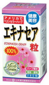 山本漢方製薬株式会社　エキナセア粒100％280粒×5個セット【RCP】