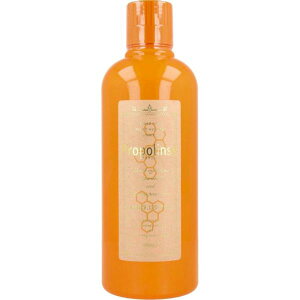 �y�{���y�V�|�C���g5�{�����z�y���������z������Ѓs�G���X �v���|�����X �}�E�X�E�H�b�V�� ����t 1000ml�yRCP�z�y���z