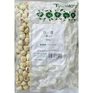 ГȖ{VC@@@500g(YEʐS())(rNBʖF@E@q)yNHiz(i܂10-14Ԓx܂)ȉi͒̃LZł܂)yh