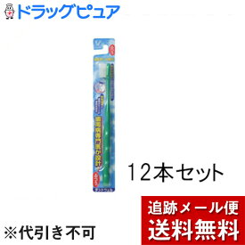 【本日楽天ポイント5倍相当】【メール便で送料無料 ※定形外発送の場合あり】大正製薬デントウェル　歯医者さん W植毛ふつう　1本入×12本セット【ドラッグピュア楽天市場店】【RCP】