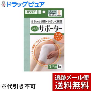 y{yV|Cg5{zy[ւő `Ȍꍇz{YƊЃVN^CvT|[^[ЂpLL TCYi1jƉKE₳ۉIyh