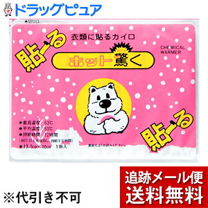 【2%OFFクーポン配布中 対象商品限定】【メール便で送料無料 ※定形外発送の場合あり】株式会社立石春洋堂『貼るカイロ ホット驚く 10袋入(10枚)』(外箱は開封した状態でお届けします)