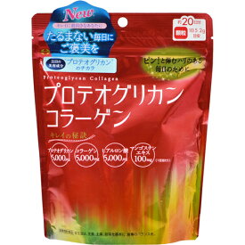 井藤漢方製薬株式会社プロテオグリカンコラーゲン（104g）＜弾む、ハリ、プロテオグリカン配合の美容パウダー＞