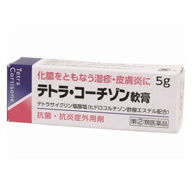 【第(2)類医薬品】【3％OFFクーポン 4/24 20:00～4/27 9:59迄】【定形外郵便で送料無料でお届け】伊丹製薬株式会社テトラ・コーチゾン軟膏 (5g)【TKP200】