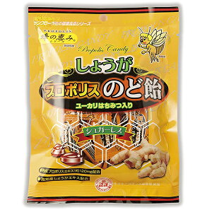 ЃTt[@Ǐb݁@傤v|X̂ǈ@80g×25܃ZbguWYv|X+uWY[J͂VK[XyRCPzykCE͕ʓrK