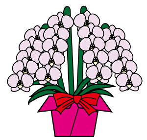 yszTreeM spot J`kunugi`@Ӓ@sNmԌa10-11cm 33ֈȏ(Q)n1oEJXEJƁEEiȂǂ̂jɁt[MtgiR`Ej(v6-10)(L