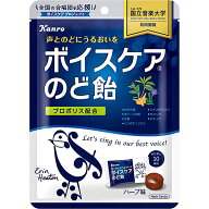 【あす楽17時（日曜15時）まで】（土日も発送）【☆】【送料無料】カンロ　ボイスケアのど飴　70g入［個…