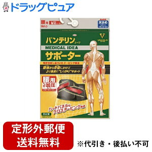 y`OXւőł͂zaV򊔎ЃoeR[T|[^[ p ^Cv 傫 ubNi1jł獜ՂɂĂT|[gyhb