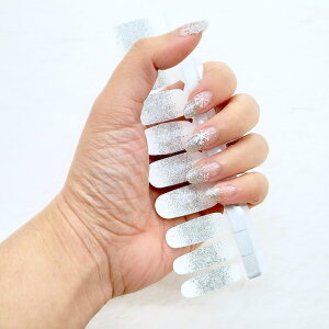 【メーカー直送品(代引き不可)※メール便発送】株式会社アダチ a-fre(エーフレ) 【冬限定】French(Snowflake&Silver glitter) フレンチ(スノウフレーク&シルバーグリッター)9サイズ×2枚(合