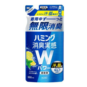 yzԉЁ@n~OLWp[@XvbVVgX̍@߂p@380ml_܁@lߑւp@L@̏L͏L(̏i͒̃L