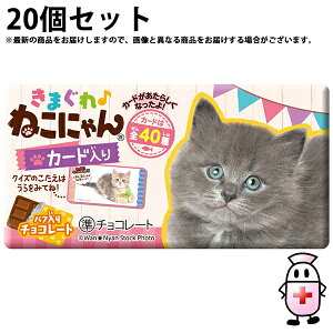 y{yV|Cg5{zyzАhfVB@܂˂ɂ@1(17.5g)×20Zbgpt`R[gَq@L̑S40ރJ[h