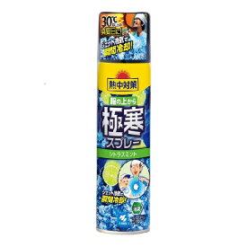 【本日楽天ポイント5倍相当】【送料無料】小林製薬株式会社 熱中対策 服の上から極寒スプレーシトラスミント 330ml【ドラッグピュア楽天市場店】【RCP】【△】