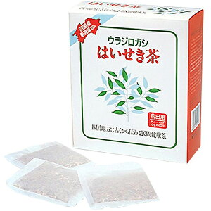 yJzEWKVE͂op10g×40܁yRCPzykCE͕ʓrKvz