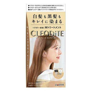 yBLACK FRIDAY 11/20 20:00`3OFFN[|IzyzЃ_ NIfB[e NA[J[ p@[ZguEy򕔊Oiz 1yhbOsAyVsXzyRCP