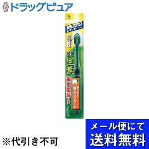 y[ւő `Ȍꍇzѐ򐶗ti傤悤jɕuVM[wbh@炩 1{(΁EԁE̃J[I͂ł܂)yhbOsAyV