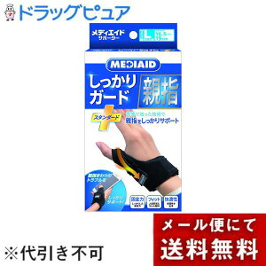 y[ւőł͂ sz{VO}bNX fBGChK[hewX^_[hLTCY 1yhbOsAyVsXzyML385z