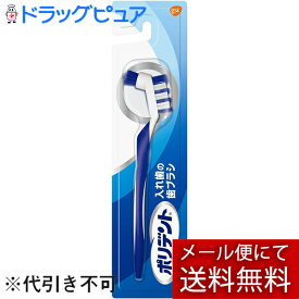 【本日楽天ポイント5倍相当】【定形外郵便で送料無料】アース製薬株式会社グラクソ・スミスクライン株式会社　ポリデント入れ歯の歯ブラシ 1本(色指定不可です)【TKG120】