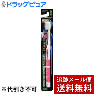 yBLACK FRIDAY 11/20 20:00`3OFFN[|Izy[ւő `ȌꍇzGrXЁwOEXnuV ז ߁xyhbOsAyVsXz