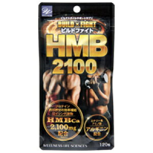 ЃEGlXCtTCGXrht@CgHMB2100@120ykCE͕ʓrKvz