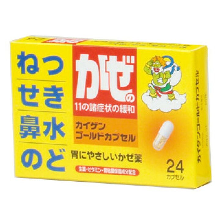 市場 第 2 改源かぜカプセル 類医薬品 市場 第 2 改源かぜカプセル 類医薬品