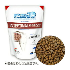 FORZA10 インテスティナル アクティブ （胃腸） ドッグ 100g 犬胃腸炎 嘔吐 消化管障害 下痢