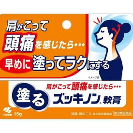 【第3類医薬品】塗るズッキノン軟膏 15g【小林製薬】【セルフメディケーション税制対象】【メール便送料無料】【sp】