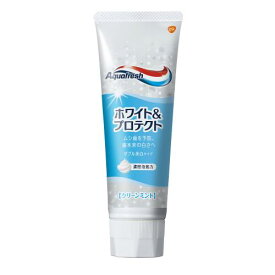 アクアフレッシュ ホワイト＆プロテクト クリーンミント 歯磨き粉(140g)【4987246641357】