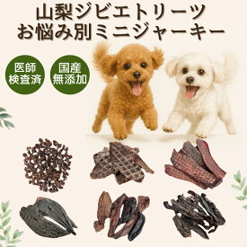 【BIG SALE】アウトレット 犬 おやつ お試し 詰め合わせ 食べ比べ 手作り 無添加 国産 鹿肉 選べる ミニジャーキー4種類セット (10g×4) プレゼント 低脂肪 ギフト まとめ買い ペットフード デンタルケア 骨 角 健康 高齢 シニア 自然派 犬猫 健康 生活