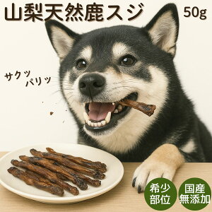 鹿 鬼筋 首筋 スジジャーキー 犬 おやつ ペット ペットフード ドッグフード ウエット犬 鹿肉 ミンチ 生肉 鹿の角 ジャーキー 犬用 鹿の骨 鹿ふりかけ シニアアレルギー 無添加 ペット デンタ
