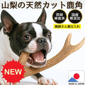 【50%OFFクーポン対象】鹿角 鹿の角 犬 おやつ 無添加 国産 手作り デンタルケア デンタルガム ドッグフード ペットフード 鹿の骨 鹿ふりかけ 高齢犬 シニア犬 歯磨き 自然派 犬猫 健康 生活