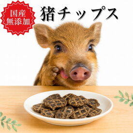 犬 おやつ ドッグフード ペットフード 手作り まとめ買い 無添加 国産 猪チップス 20g 猪肉 猪ジャーキー ギフト 送料無料 オーガニックおやつ低カロリー 高齢犬 シニア犬 ドクターわんわん 手作り歯磨き ガム デンタルケア