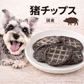 【50％OFFSALE】犬 おやつ ドッグフード ペットフード 手作り まとめ買い 無添加 国産 猪チップス 20g 猪肉 猪ジャーキー ギフト 送料無料 オーガニックおやつ低カロリー 高齢犬 シニア犬 ドクターわんわん 手作り歯磨き ガム デンタルケア