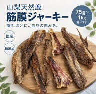 【予約11月発送分】訳あり 鹿 筋膜ジャーキー 手作り 75g 〜1kg 大容量 ドッグフード ペットフード 犬 お…