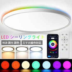 yLEDV[O+RGB+iCgCgzV[OCg LED ~6 RGBԐڌ F 24W 2800lm 2.4GHz Rt Ɩ 铔 [@\ PSEF VƖ rO q Q CeA