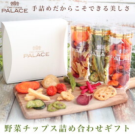 お中元 夏ギフト ギフト 野菜チップス 11種 御中元 内祝い お返し 甘くない 手土産 引き出物 野菜スナック ベジタブルチップス ヘルシー おやつ 健康おやつ さつまいもチップス ゴーヤチップス お菓子 甘いもの 苦手 しょっぱい プレゼント 贈り物 食べ物 常温 誕生日 日持ち