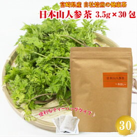 【貴重】 日本山人参茶 3.5g×30包 ティーバッグ 山人参 ヒュウガトウキ 神の草 お茶 ノンカフェイン 煮出し 水出し 健康茶 宮崎県産 宮崎産 国産 お茶 ポイント消化 買い回り グルメ 自社製造 産直 最安挑戦 【送料別】