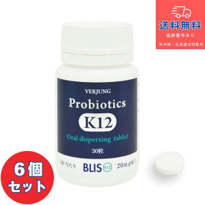 gp2027Nȍ~yKizvoCIeBNX K12 30×6ZbgytFAOz_ہyNHizyzykCEE͑Kpłz