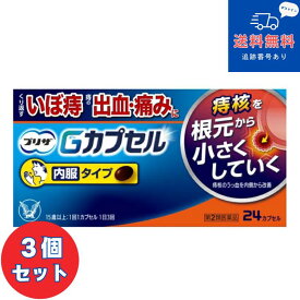 【第2類医薬品】■【ネコポスで送料無料】プリザ Gカプセル 24カプセル×3個セット【大正製薬】【同梱不可】