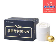 【第2類医薬品】【あす楽】廣東 牛黄清心元　1丸入り（かんとんごおうせいしんげん　カントンゴオウセイ…