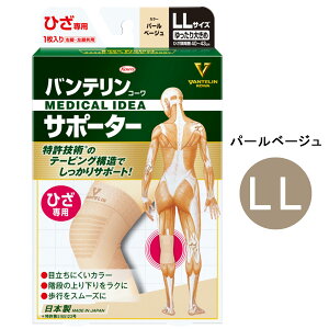 ya@{zoeR[T|[^[ Ђp@傫߁@LLTCYiЂ40`43cmjyp[x[W@jp@1zy䂤pPbgΉz