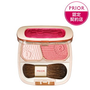 yzyvI[ tg`[N bhzyFVbvzyl̎ zyPRIORzy`OXւőz