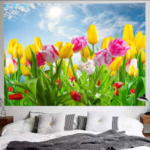 �r�[�`���i �^�y�X�g���[ ���l�̃^�y�X�g���[ �����̐��C �������Ǌ|�� �C���e���A ���_�� �썑���� ���R�i�F �I�V���� �w�i ���@�\ �z�|�X�^�[ �C���e���A ���͋C�]�� �^�y�X�g���[ ��
