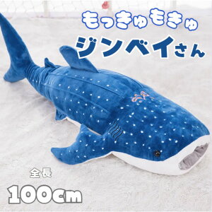 ʂ WxCU  NbV  S100cm T ObY 킢 `` ӂӂ  傫  v[g a Mtg j̎q ̎q q l Q n C